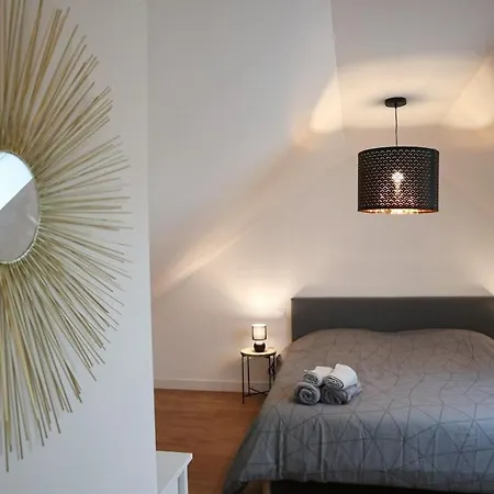 Duplex Echanges Complices ,Frontiere Huningue Exterior photo