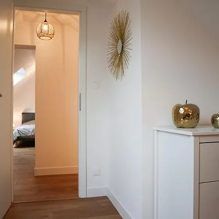 Duplex Echanges Complices ,Frontiere Huningue Exterior photo